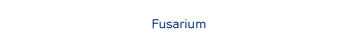 Fusarium