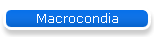 Macrocondia