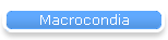 Macrocondia