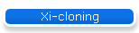 Xi-cloning